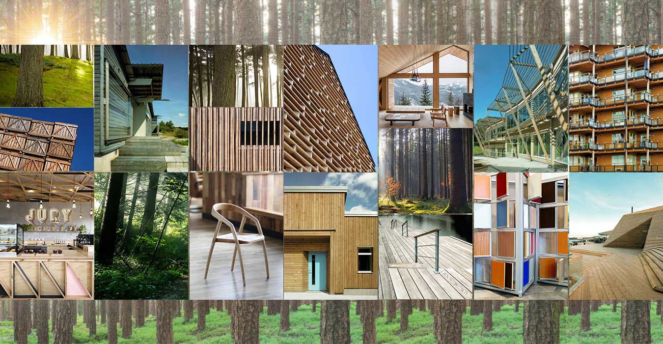 木材處理技術(shù)服務(wù)